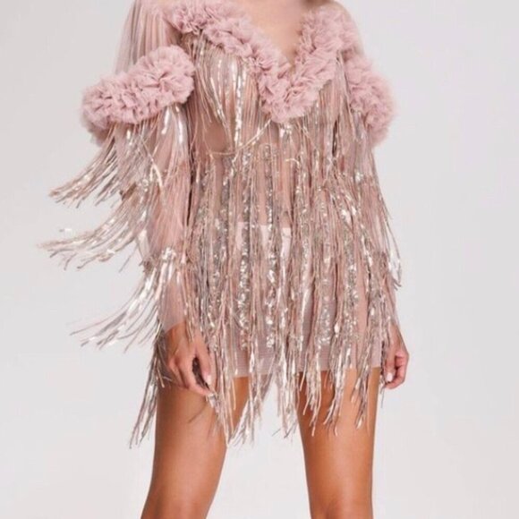 Bella Barnett Mini Dress Tassel Sequined Fringe Rose Pink Small - Picture 1 of 12